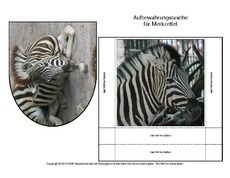 Zebra-Merkzettel-4.pdf